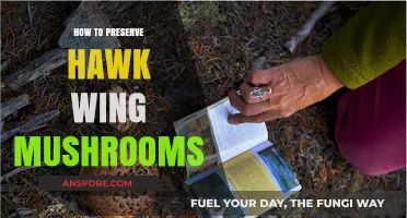 Preserving Hawk Wing Mushrooms: A Step-by-Step Guide for Freshness