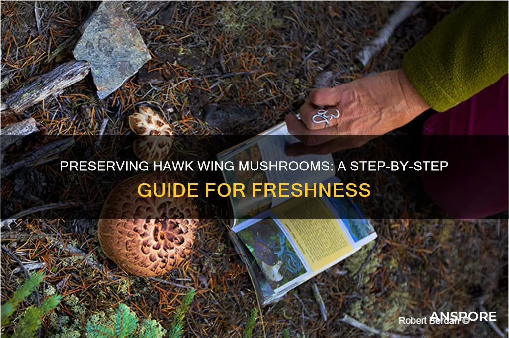 how to preserve hawk wing mushrooms