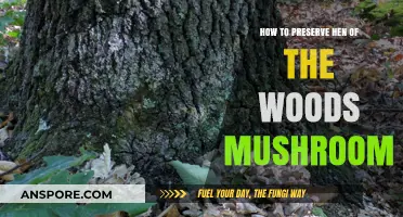 Preserving Hen of the Woods: Tips for Storing and Saving Mushrooms