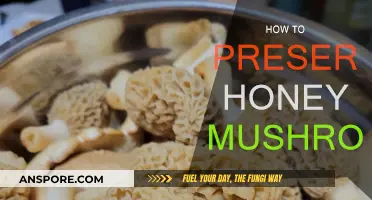 Preserving Honey Mushrooms: Techniques for Longevity