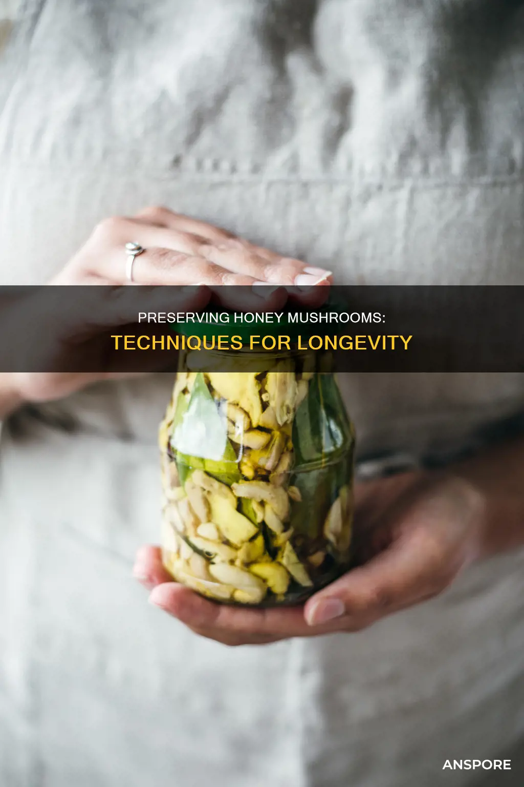 how to preserve honey mushrooms