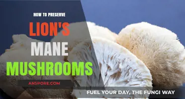 Preserving Lion's Mane Mushrooms: Tips for Long-Lasting Freshness and Flavor