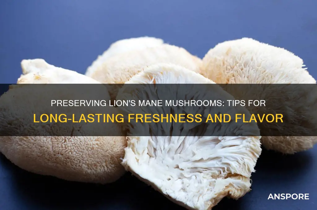 how to preserve lion