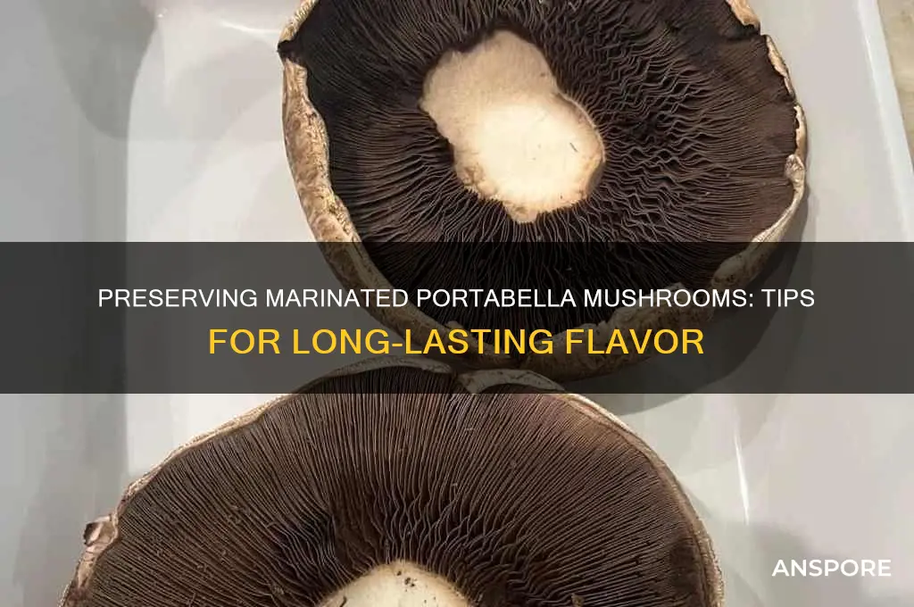 how to preserve marinated portabella mushrooms
