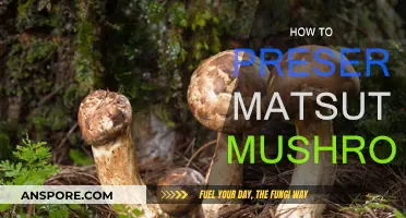 Preserving Matsutake Mushrooms: Techniques for Longevity