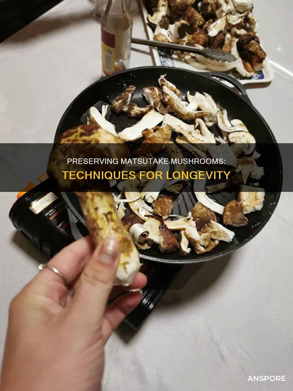 how to preserve matsutake mushrooms