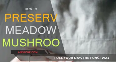 Preserving Meadow Mushrooms: Techniques for Longevity