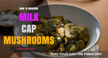 Preserving Milk Cap Mushrooms: Simple Techniques for Long-Lasting Freshness