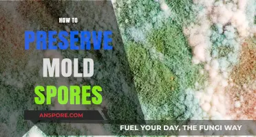 Effective Techniques for Preserving Mold Spores Safely and Efficiently
