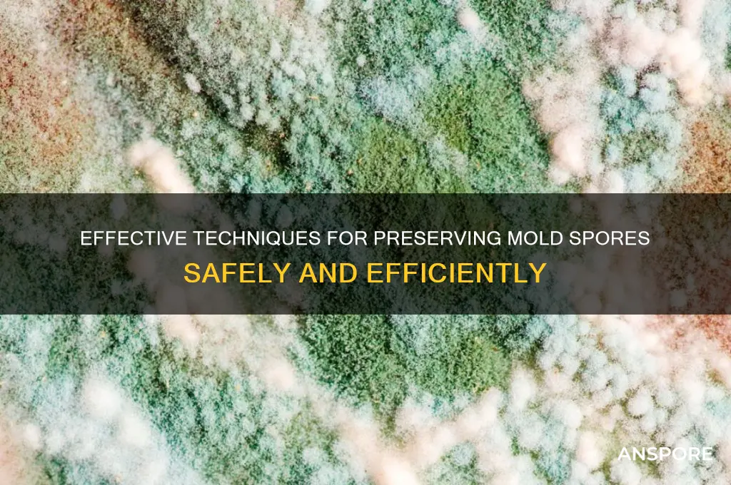 how to preserve mold spores