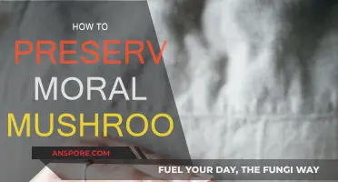 Preserving Moral Mushrooms: A Step-by-Step Guide