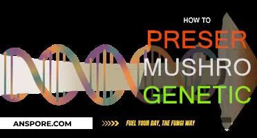 Preserving Mushroom Genetics: Techniques for Mycological Conservation