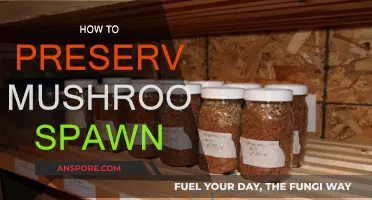 Preserving Mushroom Spawn: Tips for Longevity
