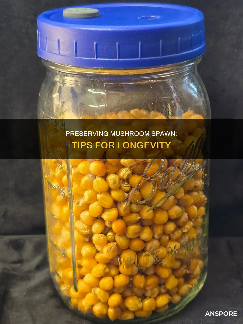 how to preserve mushroom spawn