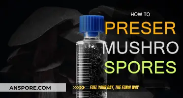 Preserving Mushroom Spores: Techniques for Longevity