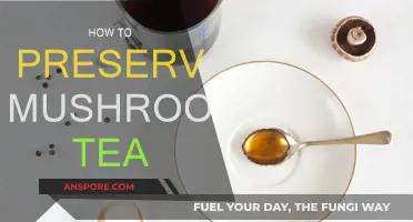 Preserving Mushroom Tea: Best Storage Methods
