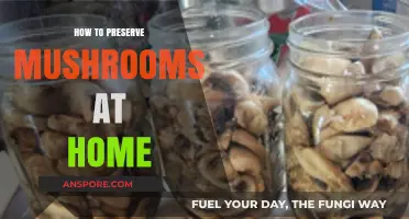Easy Home Methods for Preserving Fresh Mushrooms Longer