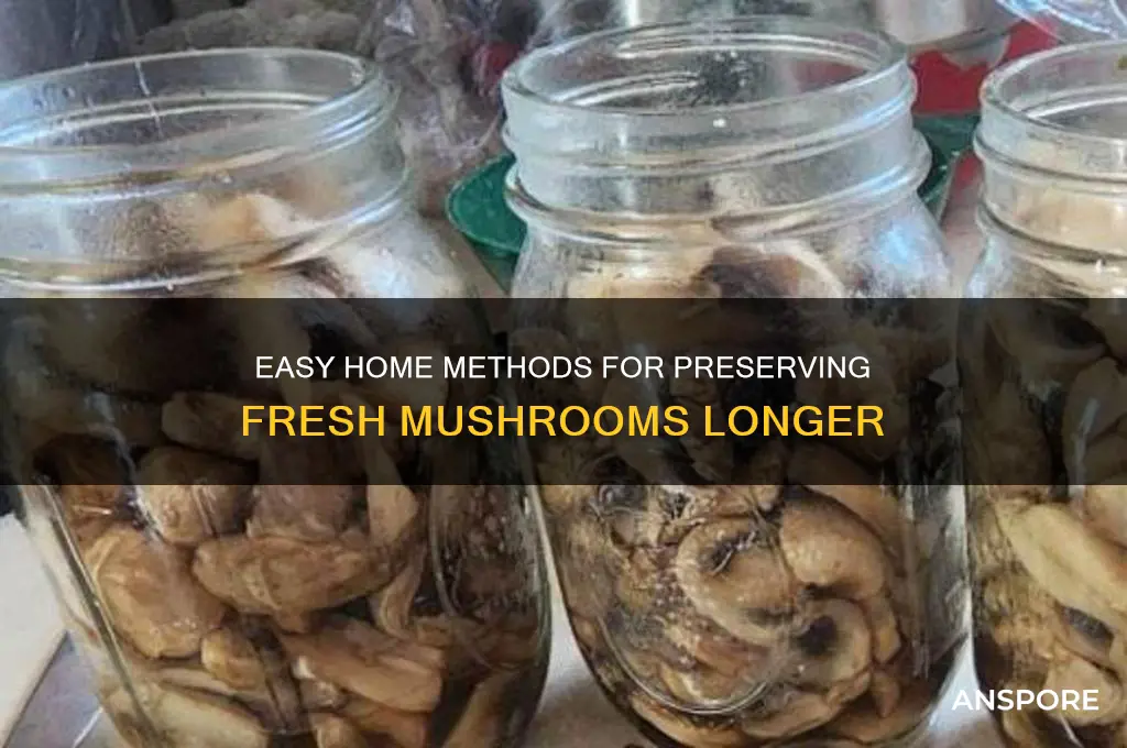 how to preserve mushrooms at home