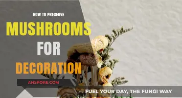Creative Mushroom Preservation Techniques for Stunning Decorative Displays