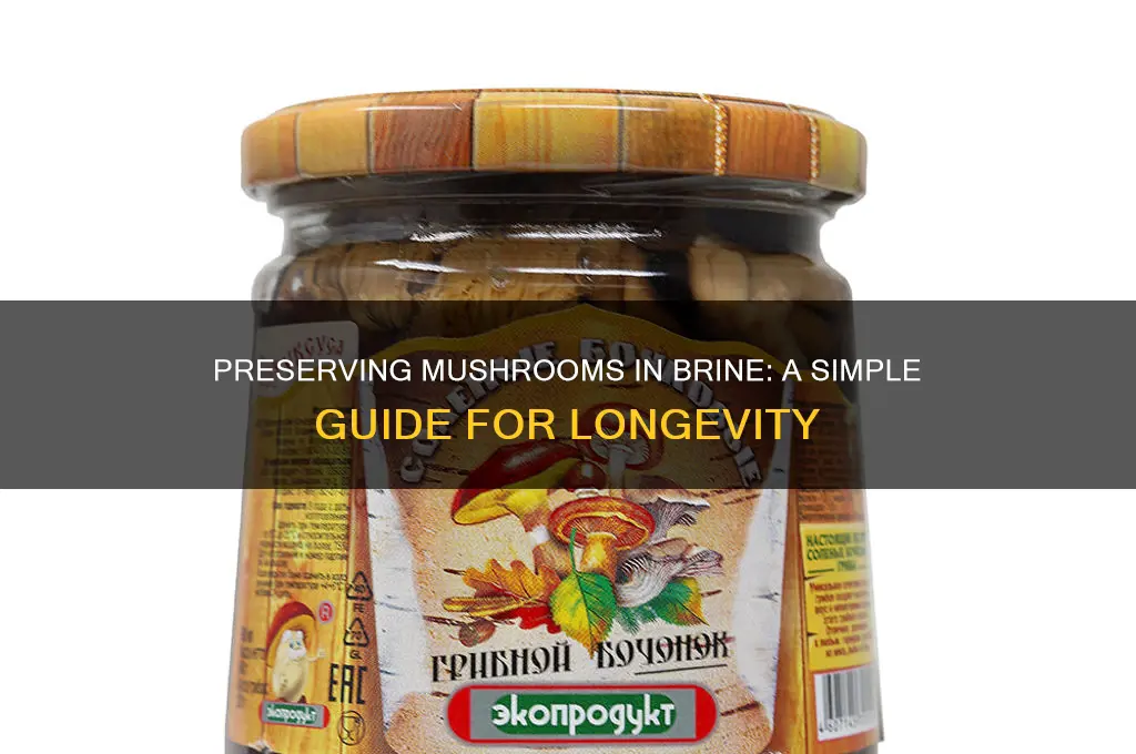 how to preserve mushrooms in brine