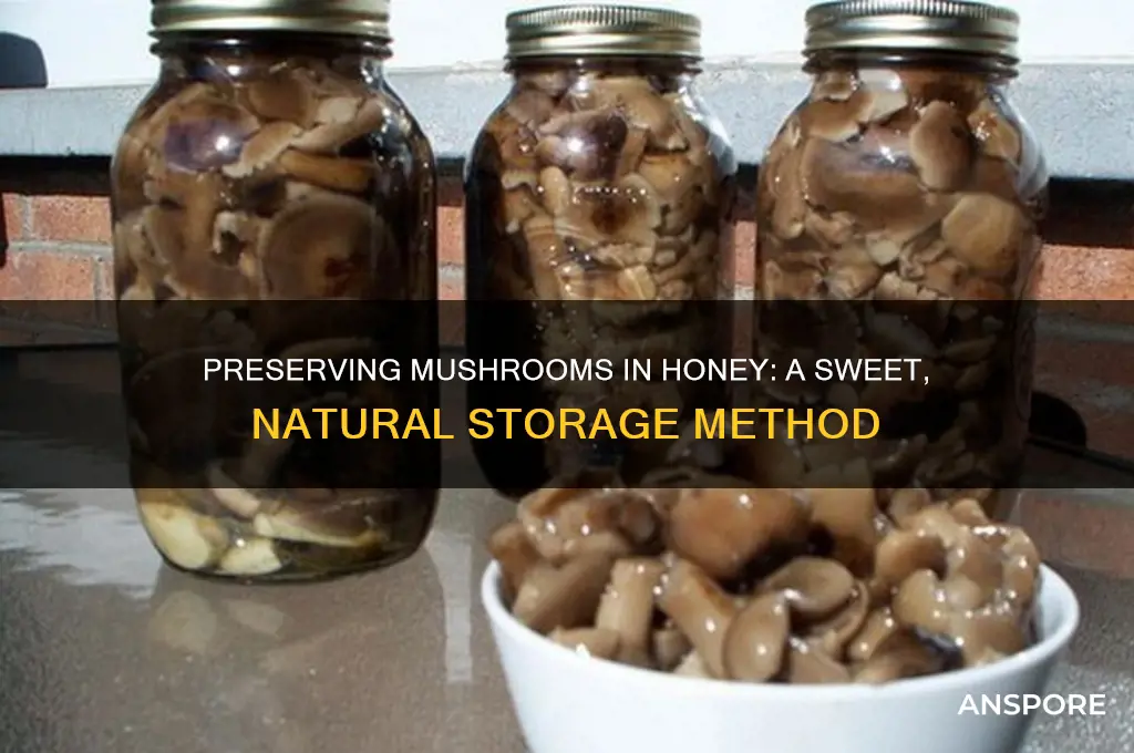 how to preserve mushrooms in honey