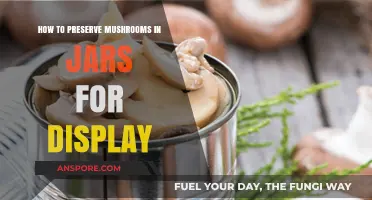 Creative Mushroom Preservation: Displaying Jarred Fungi Artfully at Home