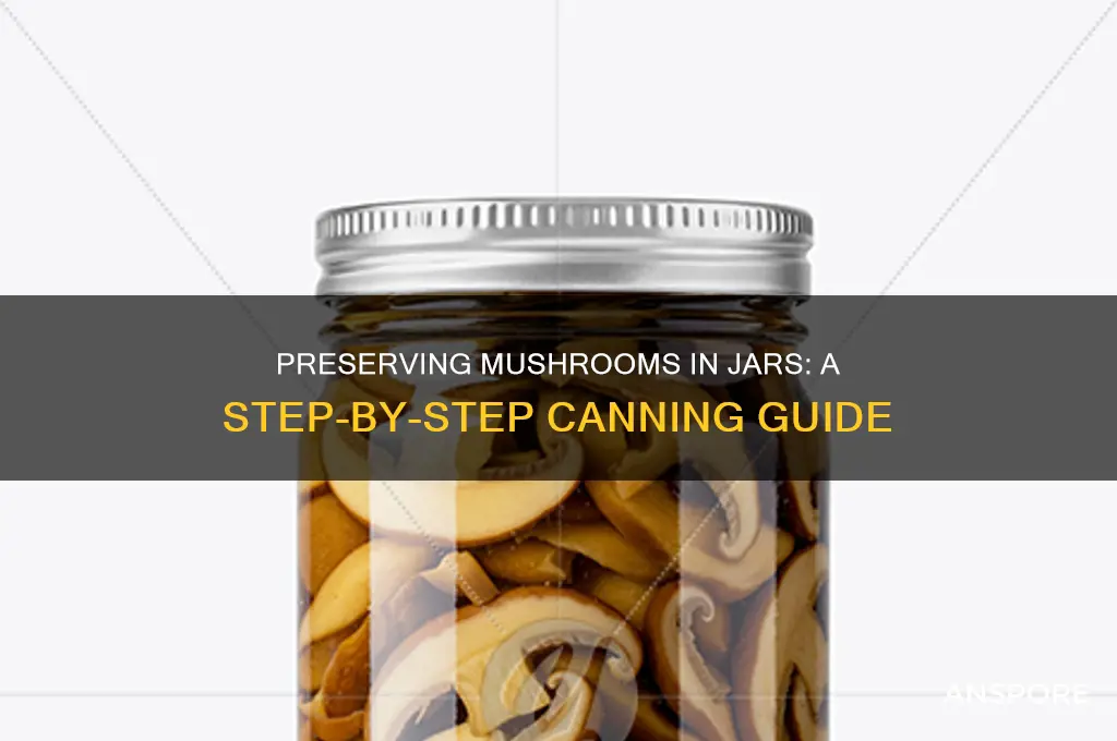 how to preserve mushrooms in jars