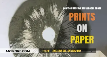 Preserving Mushroom Spore Prints on Paper: A Step-by-Step Guide