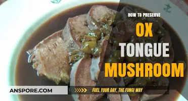 Preserving Ox Tongue Mushrooms: A Step-by-Step Guide to Longevity