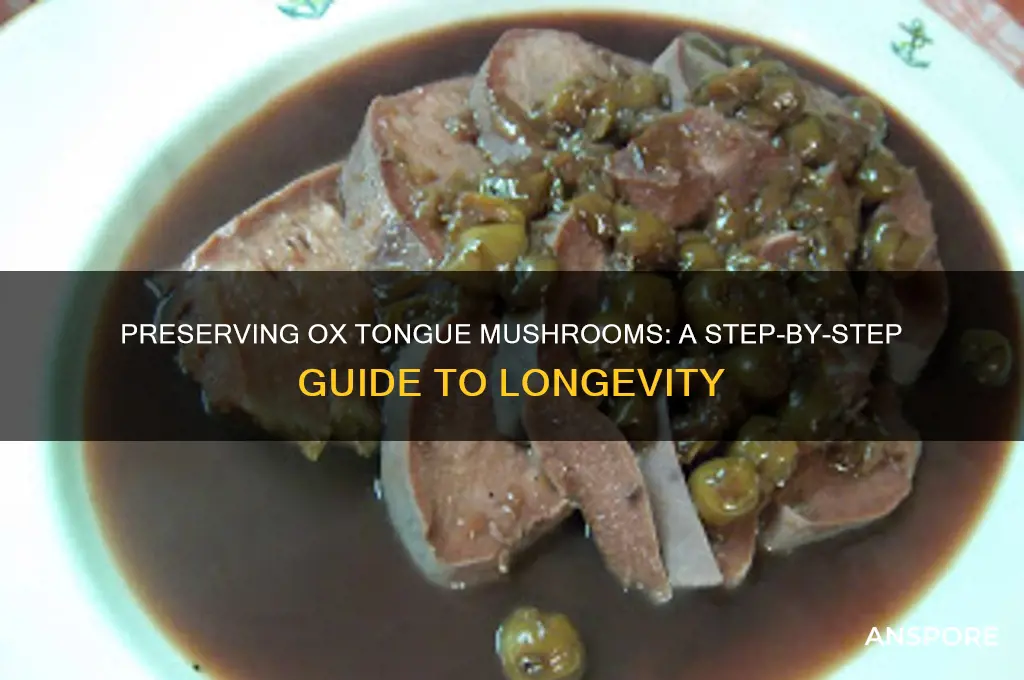 how to preserve ox tongue mushrooms