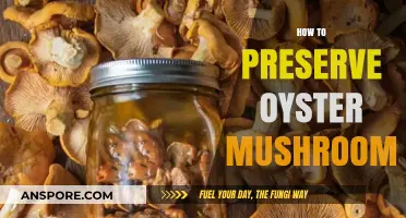 Preserving Oyster Mushrooms: Best Practices