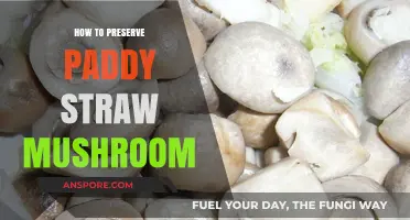 Effective Techniques for Preserving Paddy Straw Mushrooms at Home