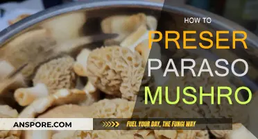 Preserving Parasol Mushrooms: A Step-by-Step Guide