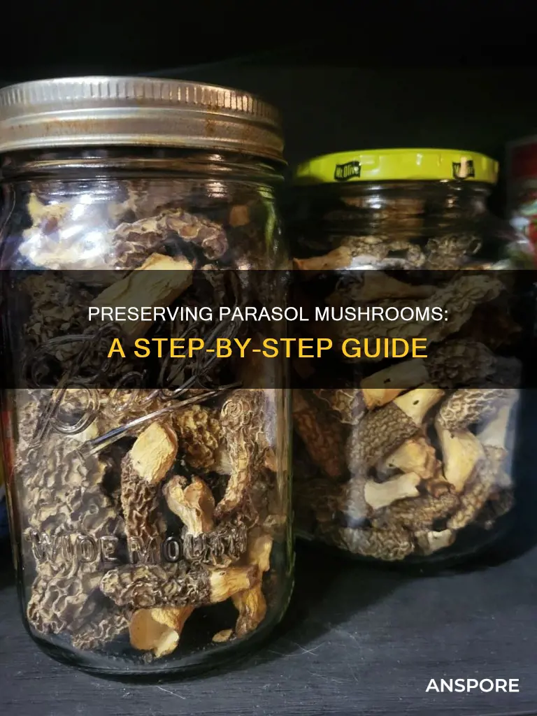 how to preserve parasol mushrooms