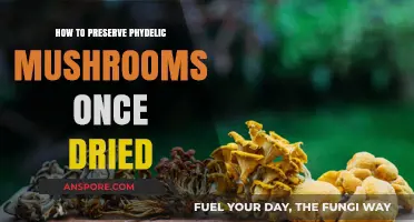 Preserving Psychedelic Mushrooms: Optimal Drying and Storage Techniques Revealed