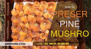 Preserving Pine Mushrooms: Techniques for Longevity