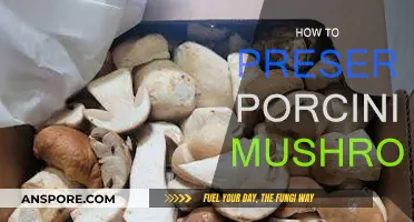 Preserving Porcini Mushrooms: Tips and Tricks