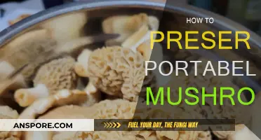 Preserving Portabello Mushrooms: Tips for Longevity