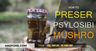 Preserving Magic Mushrooms: Techniques for Longevity