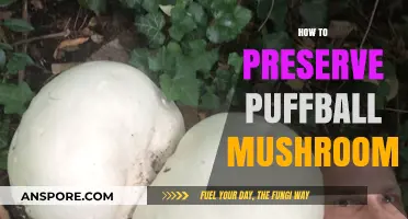 Preserving Puffball Mushrooms: Techniques for Longevity
