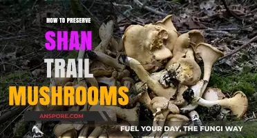 Preserving Shan Trail Mushrooms: Essential Tips for Long-Lasting Freshness