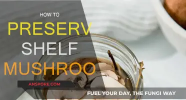 Preserving Shelf Mushrooms: Techniques for Longevity