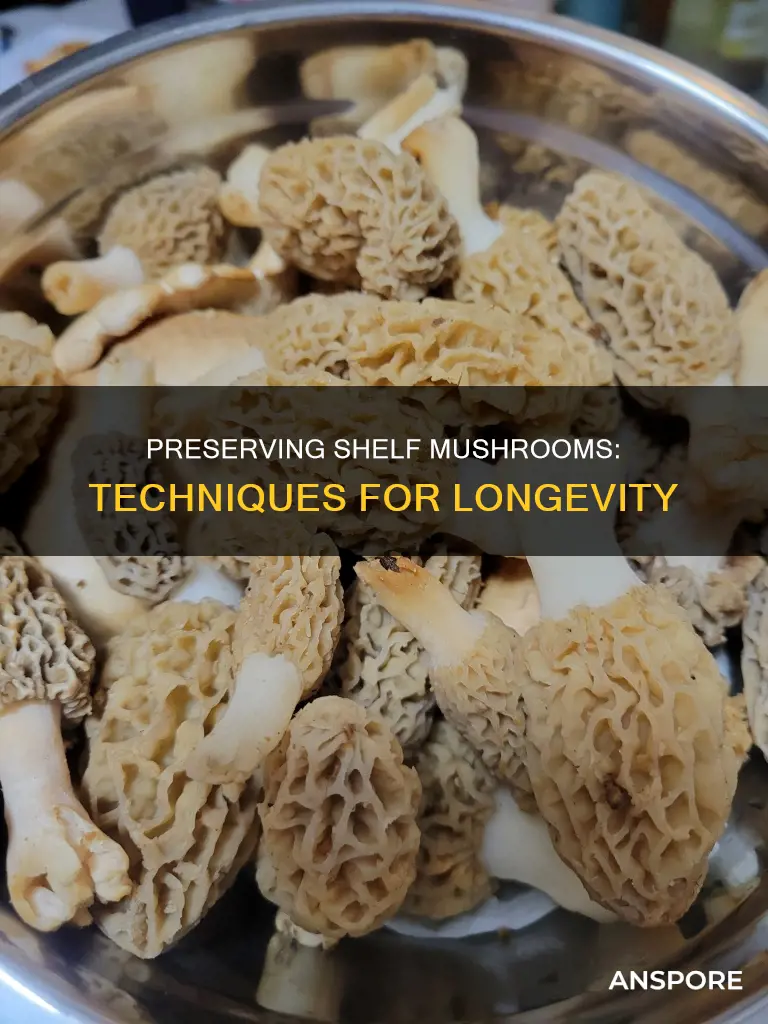 how to preserve shelf mushrooms