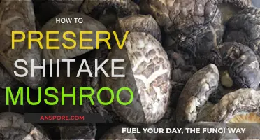 Preserving Shiitake Mushrooms: Techniques for Longevity