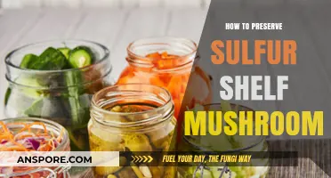 Preserving Sulfur Shelf Mushrooms: Easy Tips for Long-Lasting Freshness