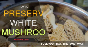 White Mushrooms: Keep Them Fresh and Long-lasting