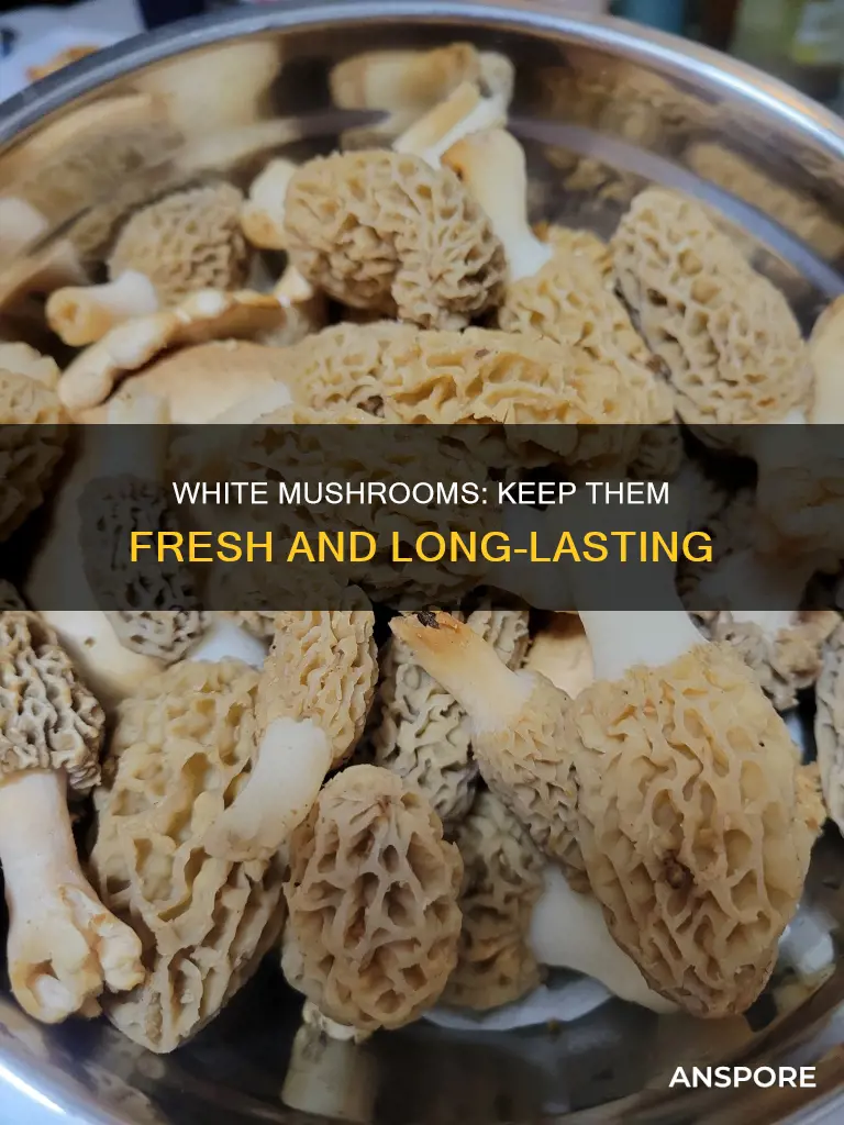 how to preserve white mushrooms
