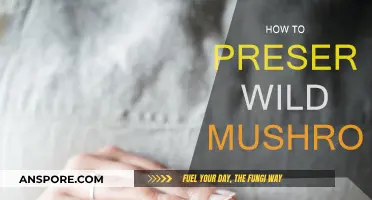 Preserving Wild Mushrooms: Techniques for Foraging Fanatics