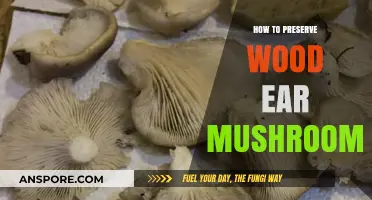 Effective Techniques for Preserving Wood Ear Mushrooms at Home