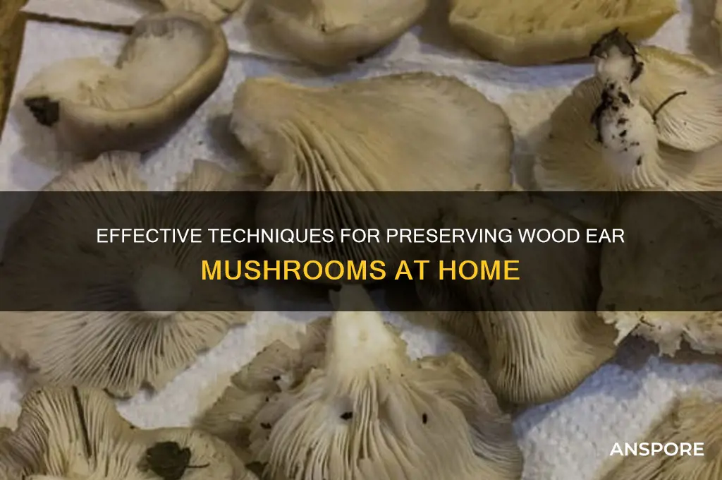 how to preserve wood ear mushrooms